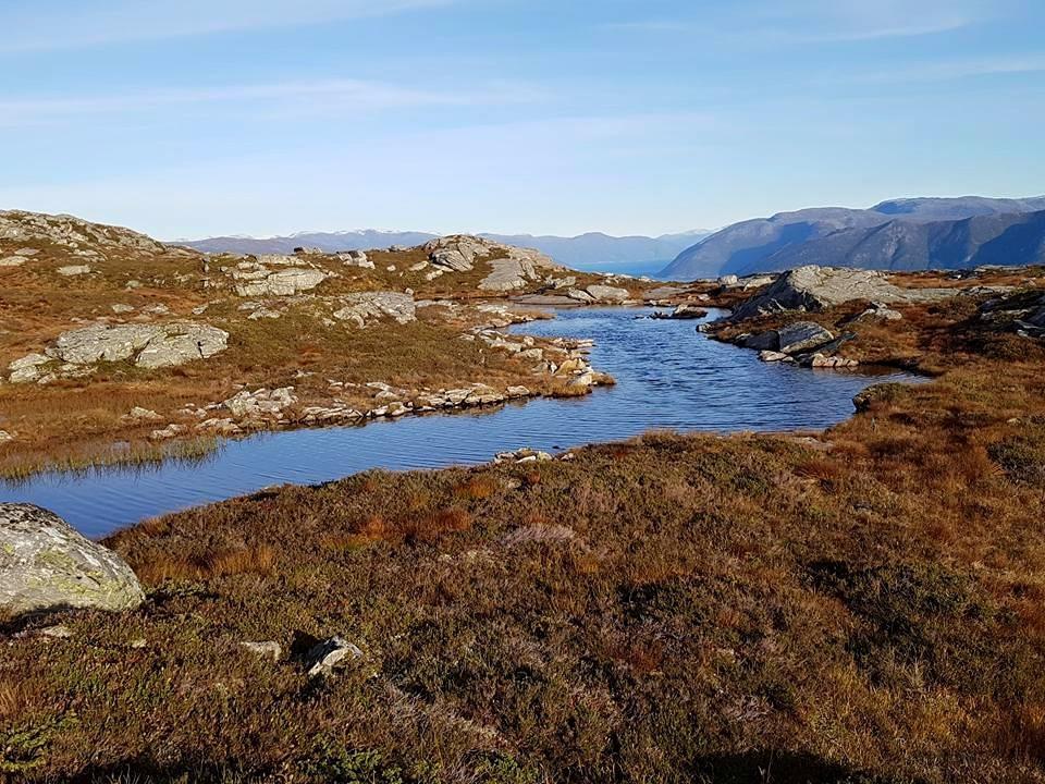 Øren Hotel Høyanger Buitenkant foto