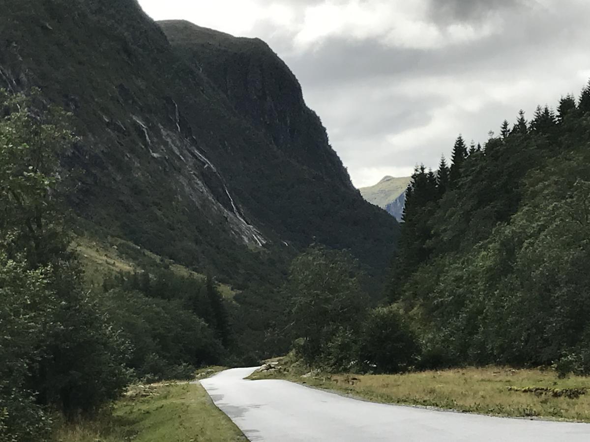 Øren Hotel Høyanger Buitenkant foto